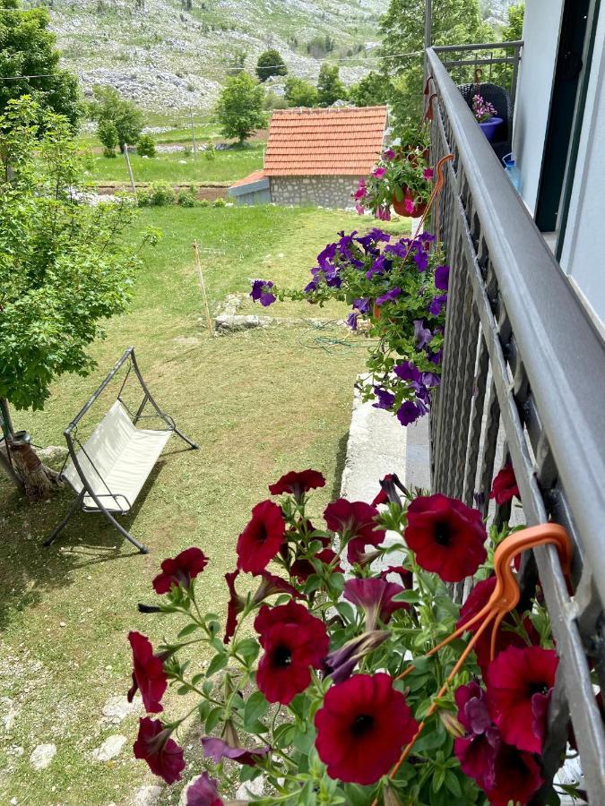 Guest House Markovic Lovcen Cetinje Exterior photo